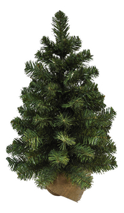 Sapin de Noël Colorado 60 cm