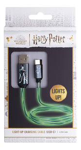 Câble de recharge Harry Potter USB vers USB-C Patronus