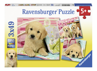 Ravensburger puzzel 3-in-1 Schattige hondjes