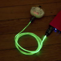 Câble de recharge Harry Potter USB vers USB-C Patronus-Image 2