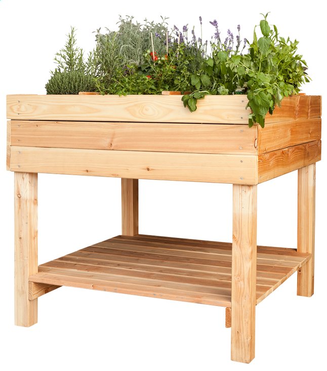 Moestuintafel Pinus 100 X 100 Cm