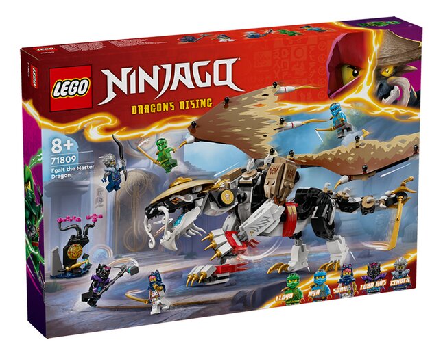 LEGO NINJAGO Personnages PERSONNALISÉS Carte d'Anniversaire 3 4 5 6 7 8  Fille Ga