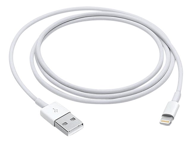 Apple câble Lightning USB 1m
