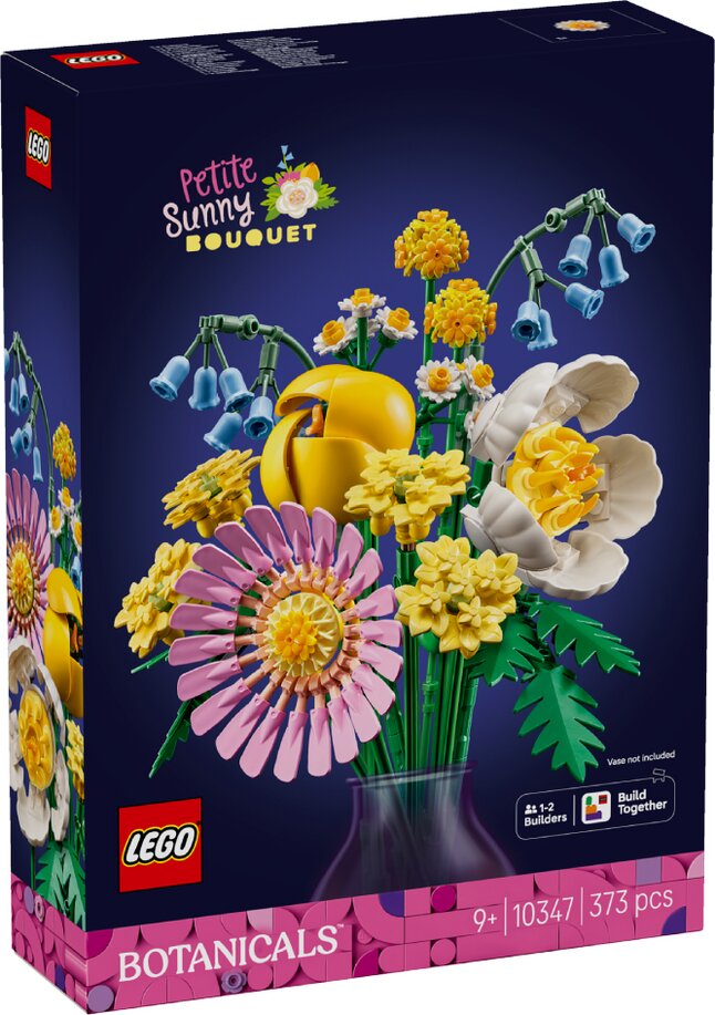 LEGO Botanicals Klein zomers boeket 10347