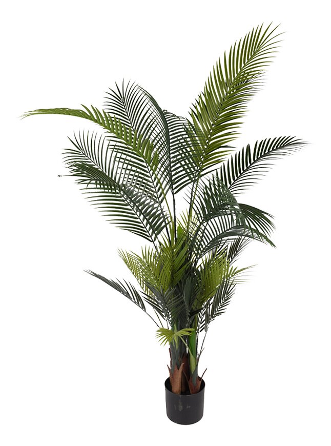 Blaze censuur Theseus Kunstplant Palmboom 160 cm kopen? | Bestel eenvoudig online | DreamLand
