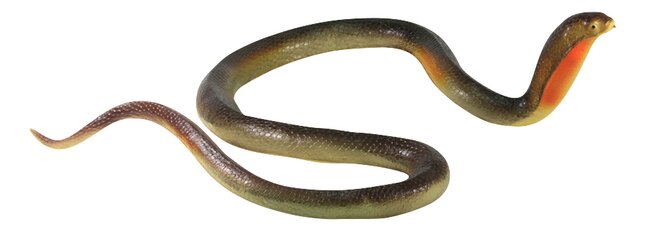 smokkel tekort aardolie Figuur slang cobra kopen? | Bestel eenvoudig online | DreamLand