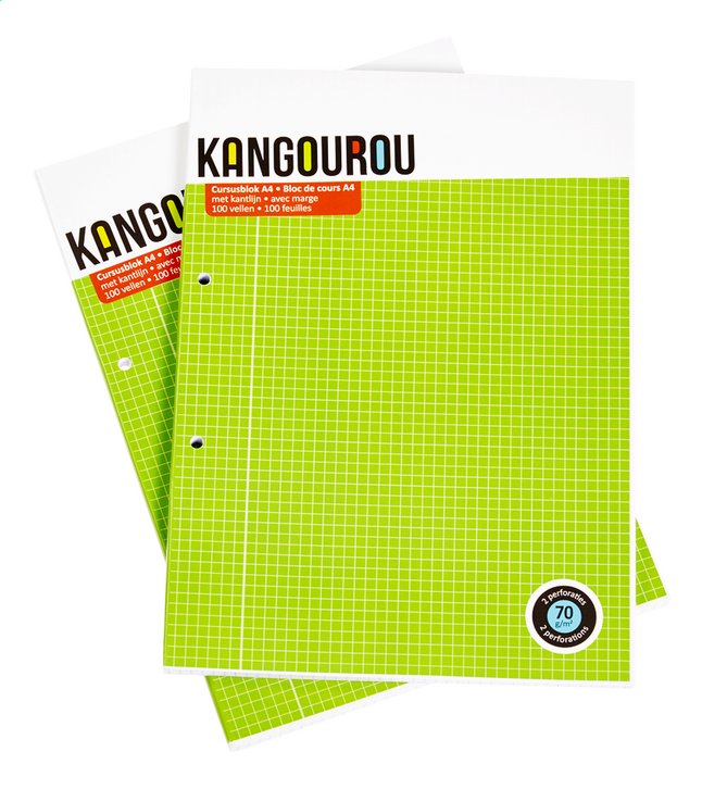 Kangourou bloc de cours A4 quadrillé - 2 pièces